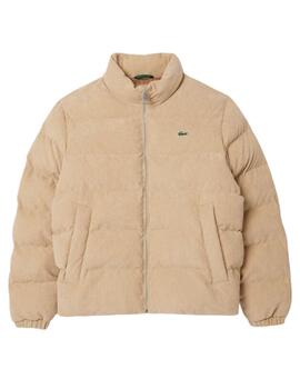 Chaqueta corta acolchada Lacoste de pana para hombre