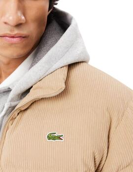 Chaqueta corta acolchada Lacoste de pana para hombre