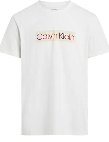 Camiseta Calvin Klein con logo impreso en el pecho en crudo